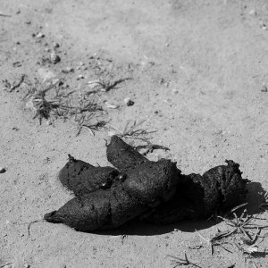 Flickr (c) MightyPirate Threepwood