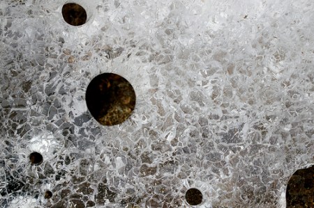 Flickr (c) Brian Pocius