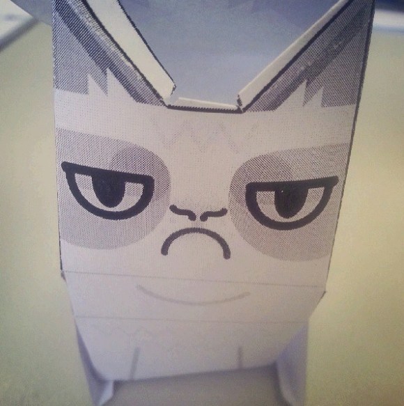 Grumpy Cat Is Still Grumpy