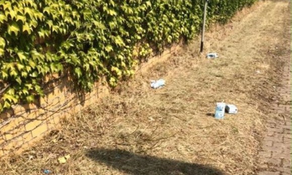 Erschütternde Bilder. Ohne Putz- und Aufräumseminar geht es nicht mehr! DIE ZUSTÄNDE SIND UNTRAGBAR!!!